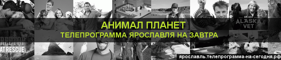 Телепрограмма на завтра канала Анимал Планет, Ярославль
