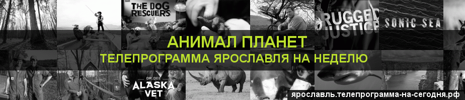 Телепрограмма на неделю канала Анимал Планет, Ярославль
